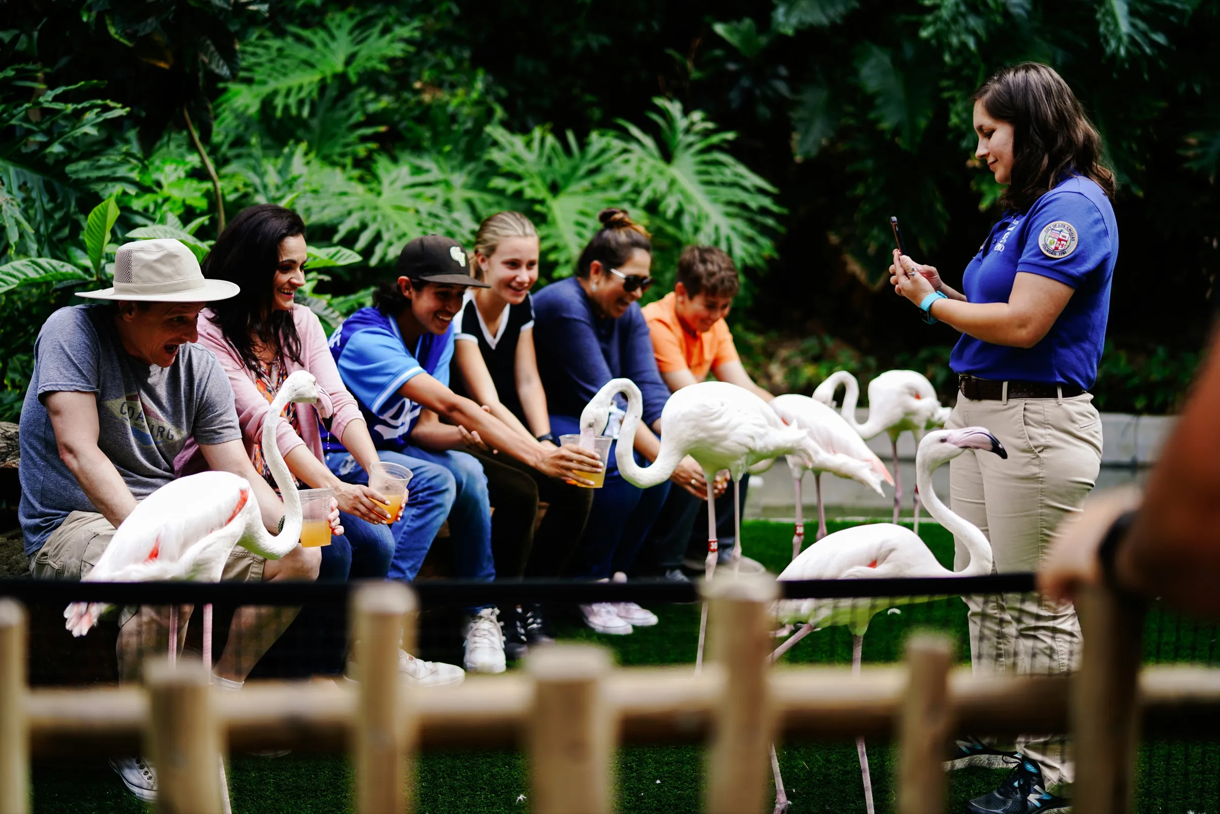 A tour guide leading a group on a wildlife experience